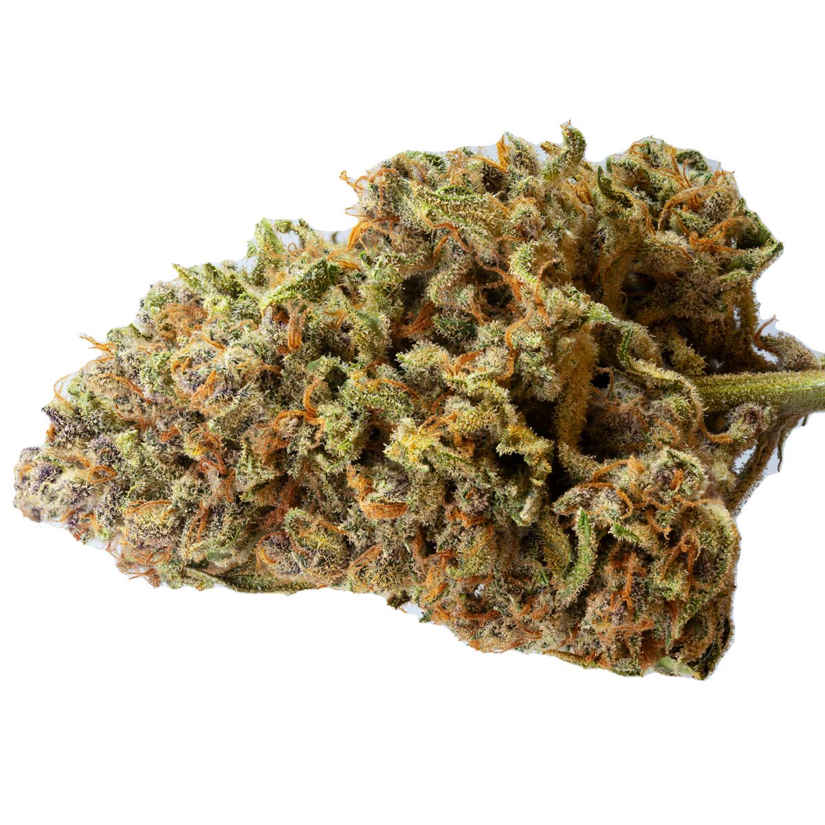 Papaya Zoap Auto Weed Strain Information Leafly
